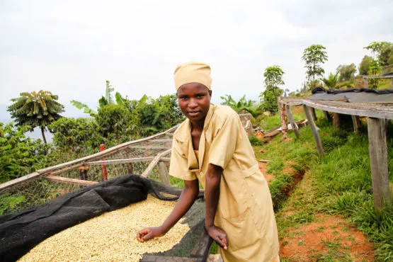 RAMBAGIRAKAWA_Solange_processing