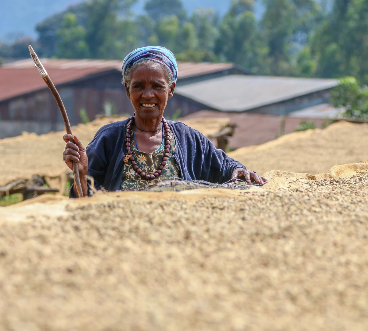 Untitled design - 2023-08-02T153615.0482_ethipia