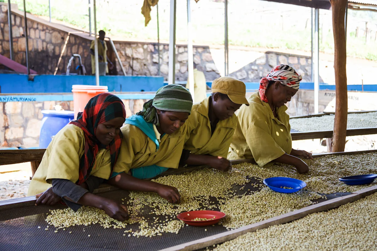 RAMBAKIRAGAWA_sorting3